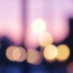 Jablečná odrůda Krasnaya Gorka