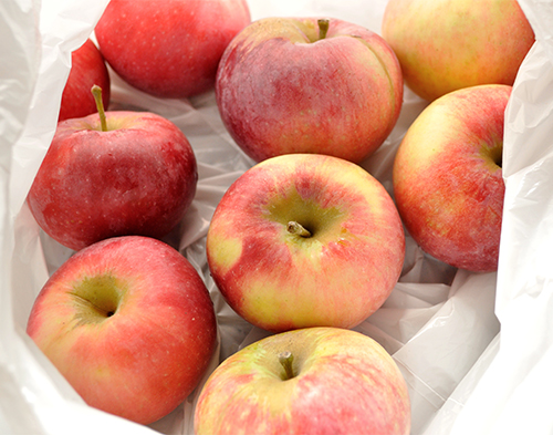 Сорт ябълка Lobo