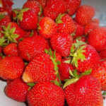 Фея ягода сорт