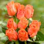 Роуз Уау (Уау)